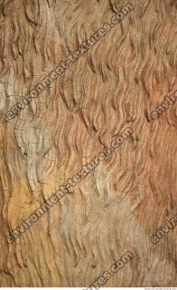 wall stucco bare 0005